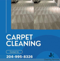Upholstery and Carpet Cleaning