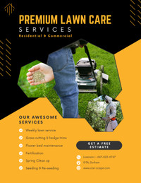 Lawn Care services 