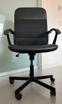 Ikea Renberget Chair