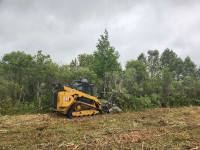 Skidsteer with mulcher for rent