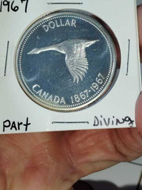 Dollar argent 1967 oie plongeant diving