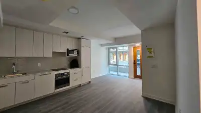 67 curlew Drive
