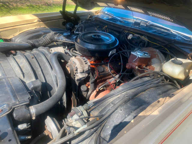 1976 Monte Carlo in Classic Cars in Muskoka - Image 4