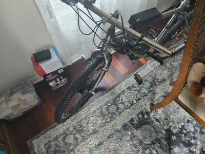 Custom Ebike, View more