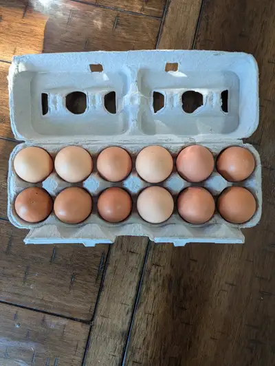 Farm fresh eggs, View more