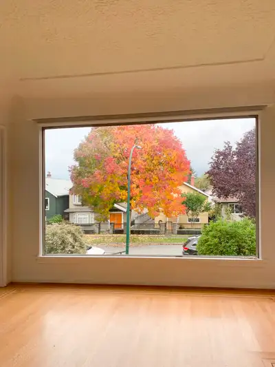 Beautiful Charming Home | 2 Bed + 1 Bath | 710 SF Newly Reno