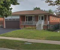 3 BR Detached House in Malton near Westwood Mall from June 1st
