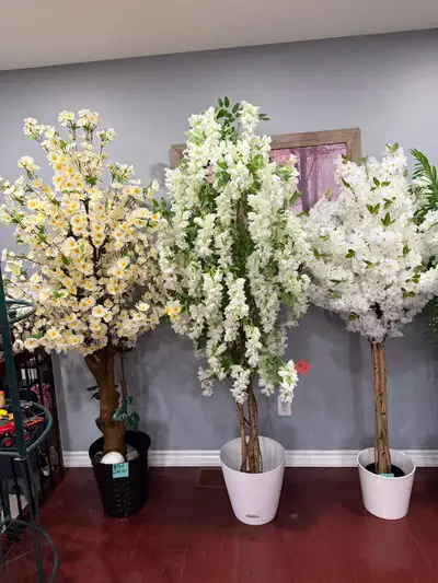 ~Wisteria Tree ( white only) 7 feet— $100 ~Cherry blossom 7 feet (off white with lemon touch) - $120...