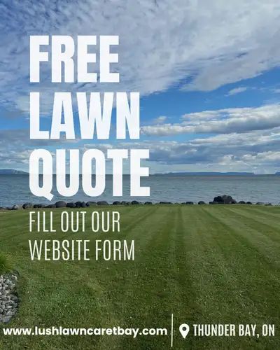 Simplify Your Lawn Care – Reliable, Affordable, and Stress-Free! Looking for a lawn care service you...