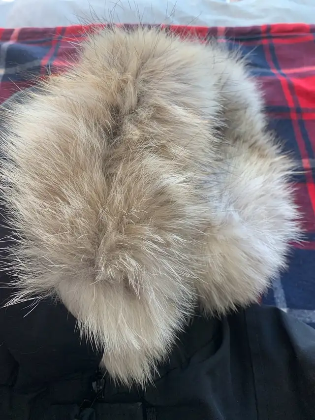 Canada Goose Coat  in Women's - Tops & Outerwear in City of Toronto - Image 5