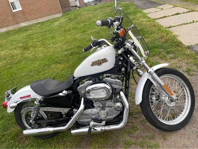 2008 Harley-Davidson Sporter 883 in Street, Cruisers & Choppers in Saint John