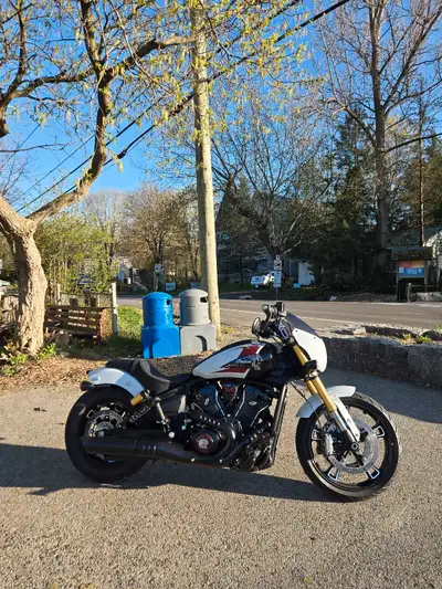 Used 2025 Indian Scout 101 Ghost White Metallic - 1st owner - 1st service completed - 5000kms (weeke...