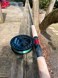 Float rod and reel