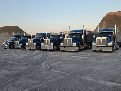 AZ Live Bottom Driver, View more