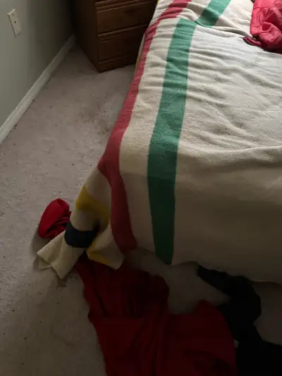 ICONIC HUDSON BAY WOOL BLANKET AND MATCHING PILLOW CASE COVERS, View more