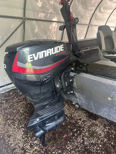 Boat and Motor Motor is like new! Only 79 hours. Seller has computer print off proof from last month...