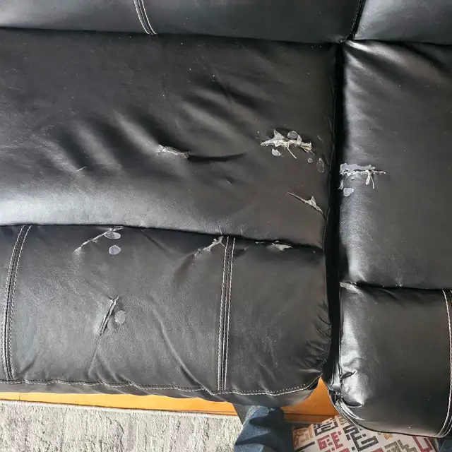 sofa set for 50 dollars.  in Couches & Futons in Bedford - Image 2