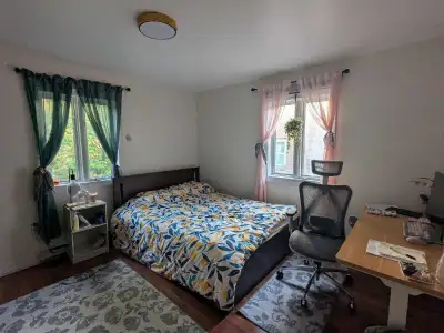 Roommate Wanted South End