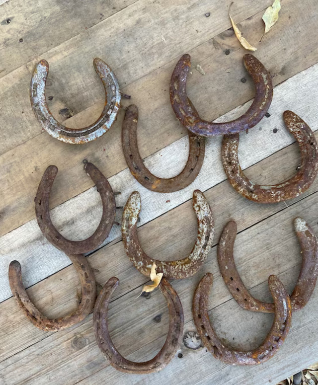 Horse Shoes in Hobbies & Crafts in Gatineau - Image 2