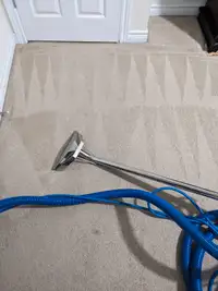 Carpet cleaning Extraction 