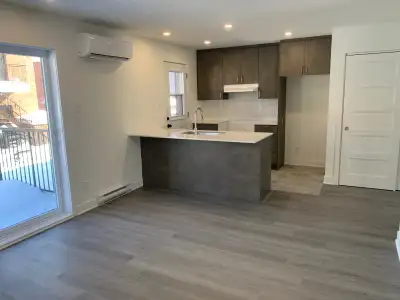 Appartement Grand 3 1/2 Laval à louer