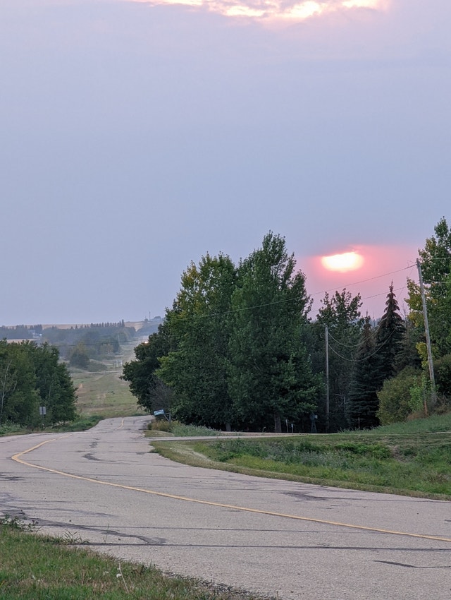 Hobby farm 54 Ac Two titles, Awsome hay land. Horse lovers . Land for