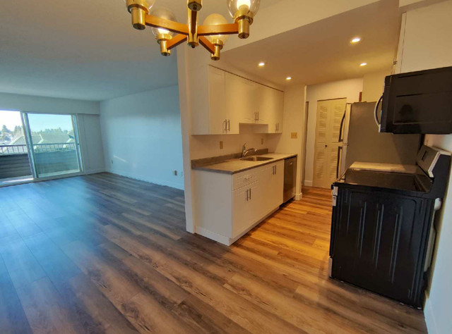 1550/1bd 700 sqft  Downtown Abbotsford  in Long Term Rentals in Abbotsford - Image 4