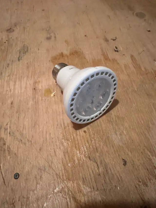 LED light bulbs in Indoor Lighting & Fans in Cornwall - Image 2