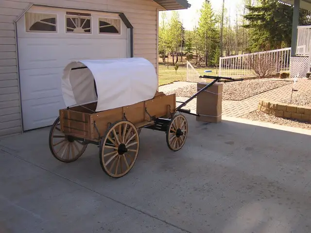 mini chuckwagon in Livestock in Edmonton - Image 4
