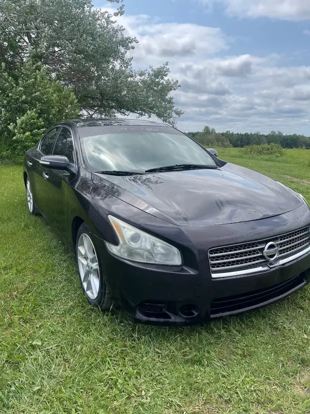 2011 Nissan Maxima in Cars & Trucks in Fredericton - Image 4