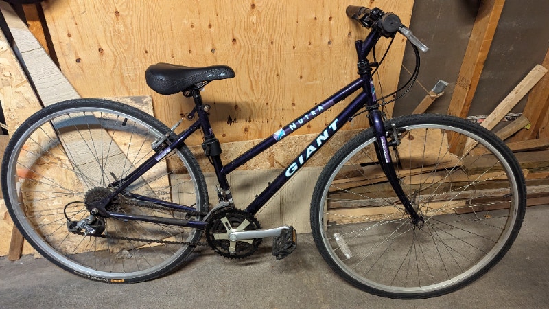 ebay women's bikes