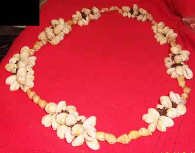 Vintage Cowrie Shell Lei Hawaiian Necklace Genuine  Hawaii 1969, View more