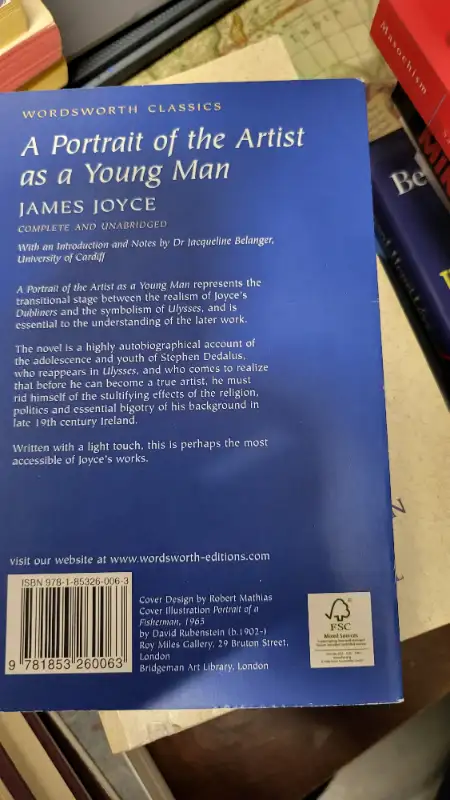 A Portrait of an Artist as a Young Man, James Joyce, only $5 in Fiction in Ottawa - Image 3