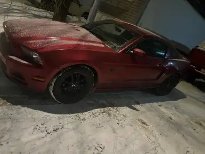 Clean and well-maintained 2013 Ford Mustang coupe for sale. Runs and drives great with no issues. St...