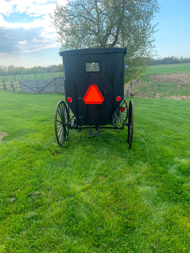 Amish buggy in Equestrian & Livestock Accessories in Ottawa - Image 2