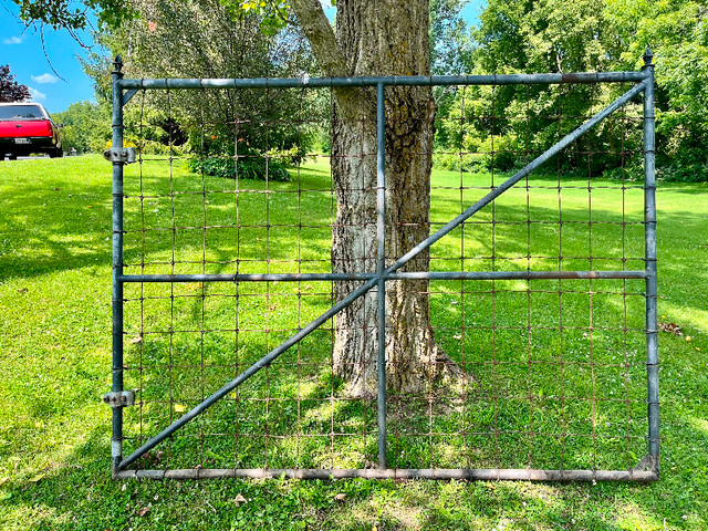 Steel Gates dans Terrasses et clôtures  à Région des lacs Kawartha - Image 2