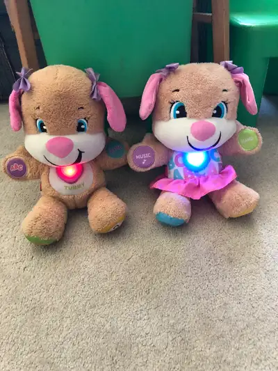 Pick up Transcona near club regent casino. Pair of learning puppies. One girl and one boy. They talk...