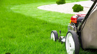 Grass cutting *** affordable prices ***