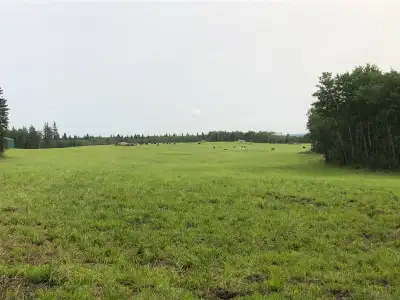 10 acre horse pasture for rent , Bonnyville beach area, with water and tack shop , no horses in ther...