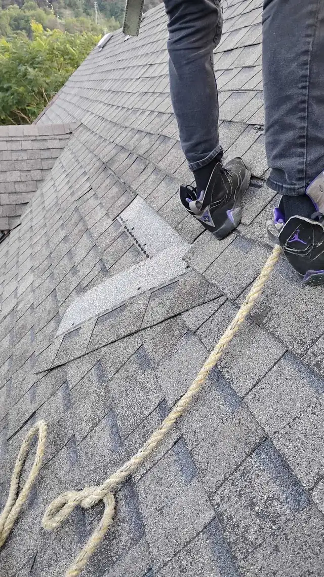 roofing and exterior repairs557016876749301762