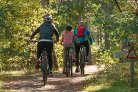 Join the Movement: Saskatoon's Call to Action ParticipACTION