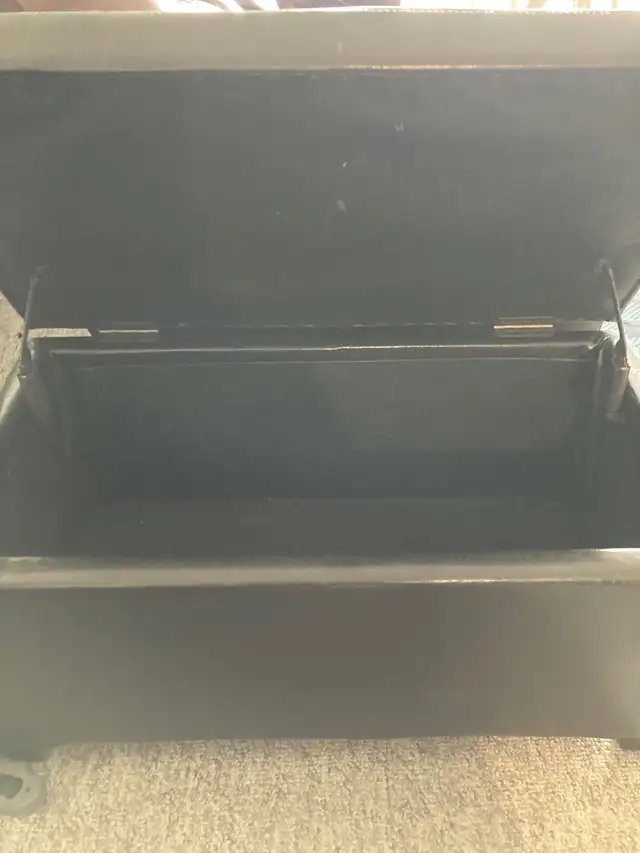 bench seat with storage in Storage & Organization in Winnipeg - Image 3