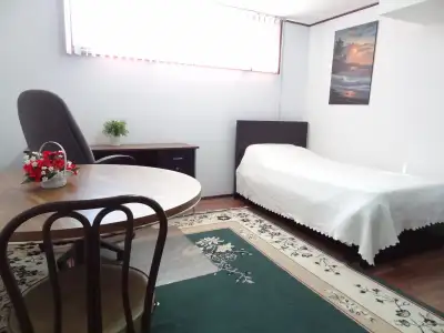 LARGE FURNISHED RENOVATED BACHELOR in BASEMENT-SEPARATE KITCHEN