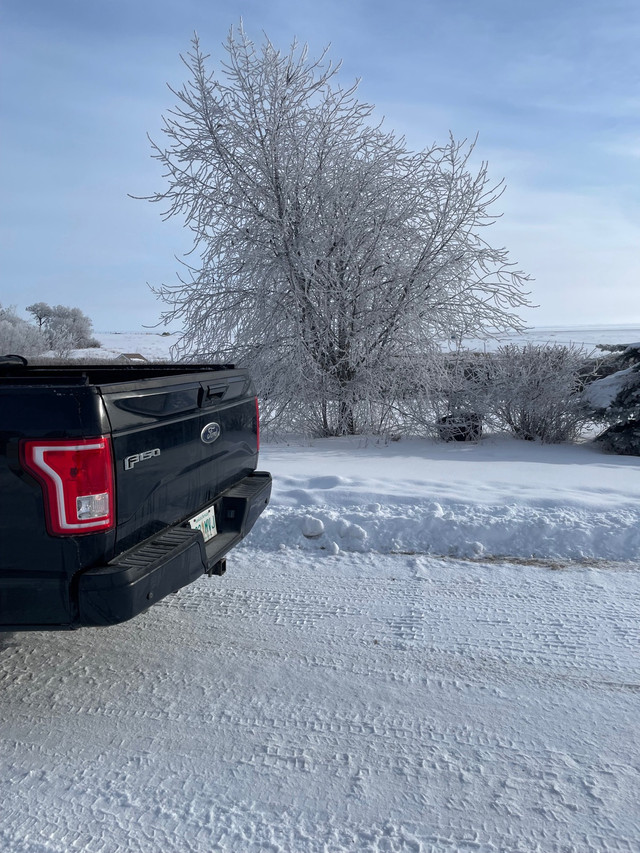 2016 f150 3.5l EcoBoost for sale or trade.  dans Autos et camions  à Prince Albert - Image 4