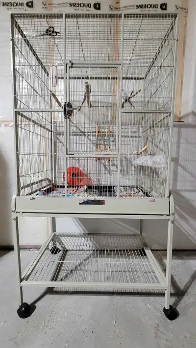 Large bird cage paid $325. Comes with 2 budgies and lots of food and perches.