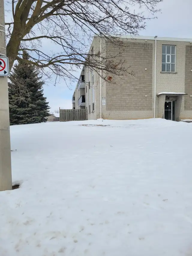 2 Bedrooms and 1 bathroom Apartment for rent in Long Term Rentals in Cambridge - Image 2