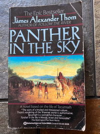 Panther In The Sky by James Alexander Thom