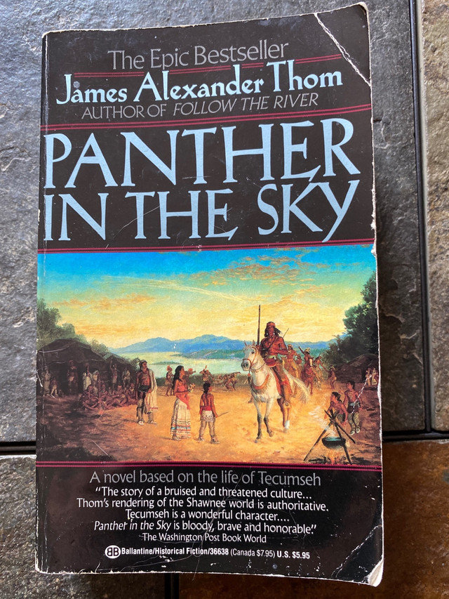 Panther In The Sky by James Alexander Thom in Fiction in Edmonton