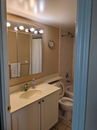 For rent: Room and separate full bathroom in a 2 bedroom Condo