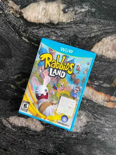 Wii U Rabbits Land, View more